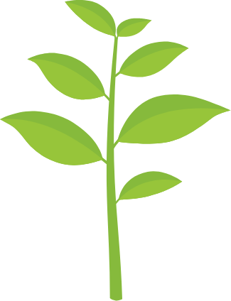 正社員（正職員）